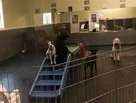 <strong>Soos Creek Kennels</strong> & Grooming / Dog Daycare. . Soos creek kennel
